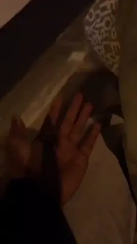 nyooo bahan sw mu🤣  #mentahanvideo #mentahan #barengayang #trend 