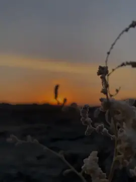 #تيك_توك #s23b3 #مساء_الخير #لشاعرها #شعر #قصايد_شعر_خواطر 