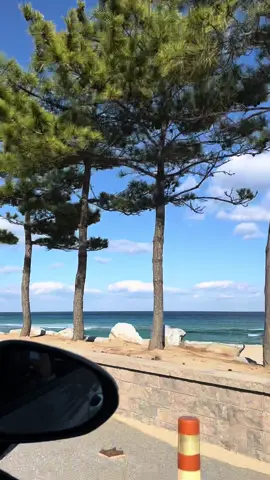 Biển Hàn mùa đông vẫn mê ly 🌊