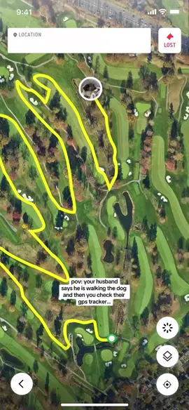 #ficollar #dogdad #dogdadsoftiktok #dogdads #ficollarreview 