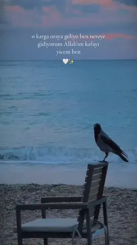 yapılan iyiliği unutmazlarmış kargalar 🤍✨#sonyazdizi #akgüngökalptaşkın #ttugbacebee  ##adana01 #yapılaniyiliğiunutmazlarlarmışkargalar #yapılandırma 