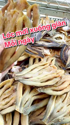 Khô Cá Lóc Đồng Tháp xuống giàn mỗi ngày . Hàng mới thơm ngon từ cá chất lượng #Master2023byTikTok #nấuăncùngtiktok #tiktokfood #review #khôcálóc #trending 