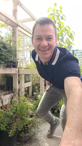 groovin to this dance by dc @SLATTY🐍 ...then heading in to the spa to help some clients' bodies heal...Happy Friday!!! #fyp #dancingrealtor #dancinggardener #happyfriyay 