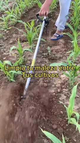 Maquina desmalezadora!!! Limpiar tu cultivo no es un problema, facil instalacion. #cultivos #limpio #maquina #pequenosprodutores #bolivia🇧🇴 