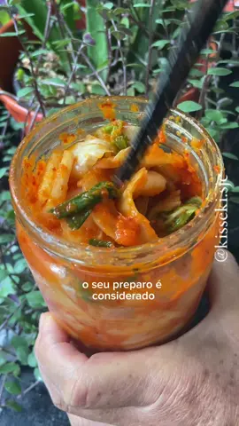 Kimchi, você conhece? Receita da @Helena Jang  #fy #crescernotiktok #kimchi #conserva 