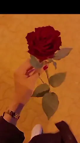 #CapCut #مشتاق_اشوفك #لاتنسوا_حركة_الاكسبلور❤️ 
