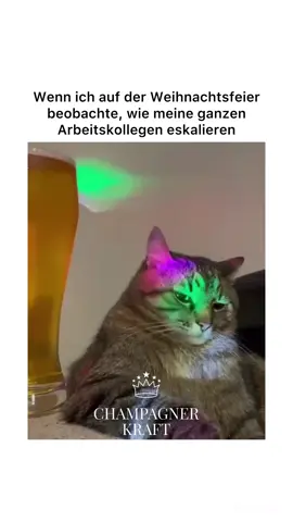 Jedes Jahr dasselbe 😂👍#lustigememes #comedyvideo #2023 #weihnachten #weihnachtsfeier #kollegen #blackeyedpeas #fypシ #fyp #fyppppppppppppppppppppppp #lustig #tiktok #like #meme #memes 