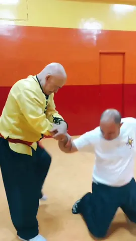 #tskf #kungfu #kungfuadistancia #kungfuonline #wushu #louvaadeus #artemarcial #artesmarciais #shaolin #chikung #camisadeferro #humor