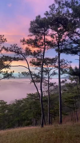 bat chuyen xe vung cao dalat 🌅 #fyp #binhminh #dalat 