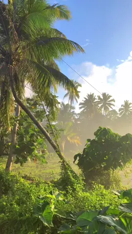 Province Morning view 🍃💚 #fypシ゚viral #fypシ #foryoupage #fyppppppppppppppppppppppp #onthisday #moment #life 