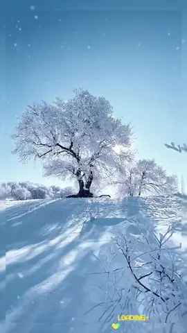 #scenery #fyp #foryou #beautiful #music #snow 
