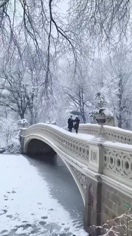 #savethebestforlast #vanessawilliams #90smusic #90slovesongs #lovesongs #90shits #snow #walkinginthesnow #romanticcouple #bridge #winter #wintersnow #fyp