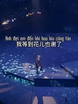 Anh đợi em đến khi hoa kia cũng tàn《#我等到花儿也谢了》Trương Học Hữu #xuhuong #xuhuongtiktok #xuhuong2024 #nhachay #nhachaymoingay #nhactrung #nhactrungquoc 