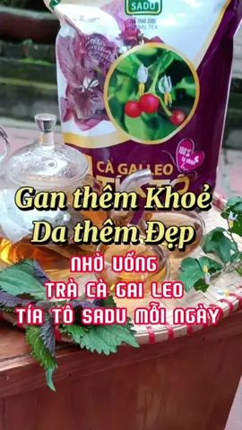 Trà Cà Gai Leo Tía Tô Sadu Túi Lọc Hữu Cơ Tiện Dụng, Giúp Thanh Nhiệt Cơ Thể, Làm Mát, Thải Độc Hiệu Quả #tracagaileo #cagaileotiato #tracagaileotiato #tracagaileotuiloc #tracagaileosadu #cagaileo #cagaileosadu #xuhuong #lenxuhuong #xuhuongtiktok #amthuctiktok #thaidocgan #trathaidocgan #trà_tía_tô #trà_tía_tô 