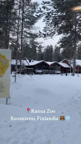 🦘 Visitamos #RanuaZoo | 🇫🇮 #Finlandia 