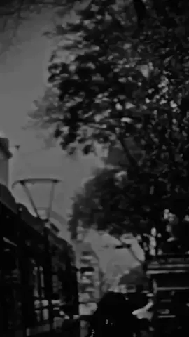 نازل يا قطار الشوك💔🥀#تصميمي🎬 #نازل_يا_قطار_الشوك #ضيمممممممممممممم💔💔💔💔💔💔💔 #العراق🇮🇶 #viral #fyp #foryou 