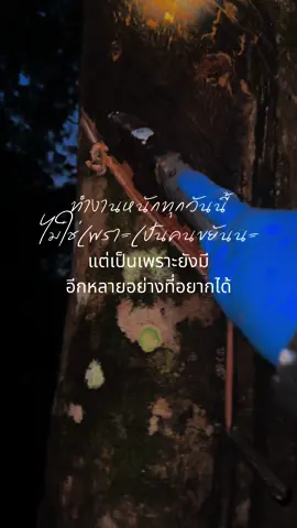 อาชีพทำสวน เบิกหน้ายางเช้าแรก #สตอรี่ความรู้สึก #อย่าปิดการมองเห็น #เด็กใต้ป้ายพังงา #กรีดยางพารา 