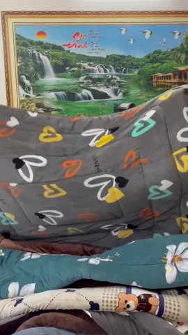 Chăn Lông Thỏ Yuki  #trending #xuhuong #fypシ #fyp #chanlongtho 