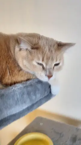 She loves her tree! 😍♥️♥️