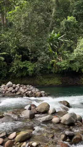 story mona agad👌🤙🍃 #taonggala #outsiderbicol #nature #fyp #ilog #fypシ #free #to #use #naturetrip #kapayapaan #chill #naturetrip 