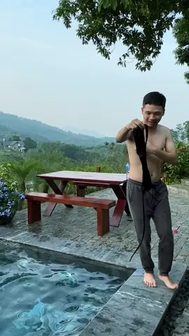 Đấu giá cho anh em về ngâm rượu 🤣