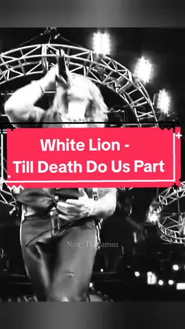 White Lion - Till Death Do Us Part #youtube #story #status #fyp #trending #short #whitelion 