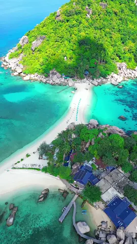 The treasures of the ocean 🏝️ 📍Koh Nang Yuan - Koh Tao , Thailand 🇹🇭 #thailand #travel #beach #kohnangyuan #kohtao #beachvibes #islandlife #nature   #thailandtravel #travelthailand 