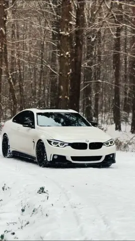 Dreamy view 💆‍♂️😍. ig:igorekwozniak #fy #dc #bmw #cartok #forrest #winter #428i #bmwlife #bmwclub #snow #wintervibes #snowday #white #trending #viral #dlaciebie #fyp #fyy #foryou #dlaciebie❤️ #foryoupage 