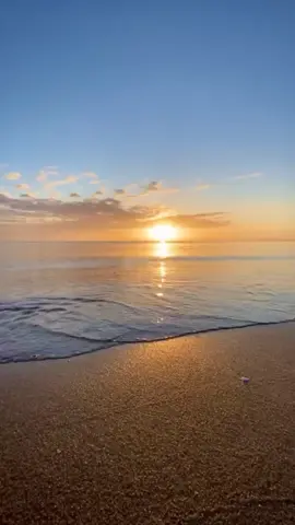 gw juga bang dalam mengetik suka jaipong #reactionvideo #reactionmeme #typo #meme #fyp 