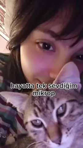 ISLAGIMI COK SEVIYORIMM#kesfetolsunartik #kesfet #arkadaslarbeniunluyaparmisiniz #fyp #kesfetoloc #ked 