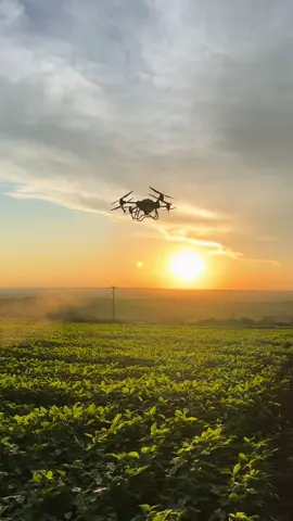DJI T40 em ação 🚀 #wddronesbrasil #djit40 #djiagricultura #drone #agro #agrolife #life #dronelife #droneshow #deonevideography #voo #pulverizacaoagricola #agronegocio 