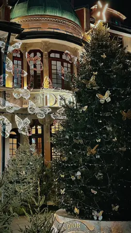 🌲🎄 Đến Thượng Hải mùa Giáng Sinh đừng quên check-in 2 chỗ bling bling này nha .. siêu sang chảnh luôn ạ ^^ 📍DIOR 恒隆广场 ( chỗ có con bướm và cây cổ thụ vàng ) 📍DIOR 张园店 ( chỗ có lá thông to , gấu và mấy cây thông xanh - có hôm mở đèn có hôm ko mở ^^ ) #Thượng_Hải #WinBoo_vivu