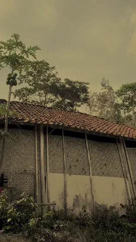 Suasana tahun 80an 90an ketika dunia sedang baik baik saja vibes jaman dulu #kampunghalaman #ceritaanakdesa #rindukampunghalaman #nostalgia8090an #jamandulu #lebaranbahagia #fyp #fypシ #jowopeide🔥 #jowostory👍 #suasanapedesaan #dapurestetik #bernostalgiabarengceritaanakdesa #ngrayunpuncakgunung #tempodoeloe