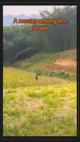 #kungfu #chinesekungfu #fyp #foryou 