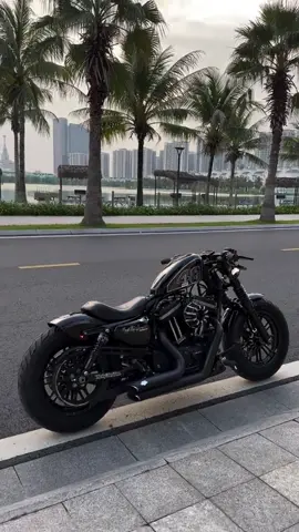 Sound with a view 🫶🏾🔥 🎥 by nhuyen_nam #harleydavidson #bobber #motorcycle #sportster #yamaha #motorbike #breakout #custombike #bobberstyle #bike 
