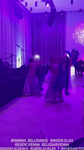 #luxurious #danceshow #bellydance #oriental #dinasmadesign #events #performance #christmasshow #vienna #galashow #elegant #elite #silvercostume #orientalshow #arabicnight #party 