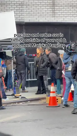 year made, still screaming #svu #lawandordersvu #mariskahargitay #oliviabenson #nyc #fyp 