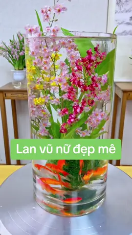 Lan vũ nữ đẹp mê luôn ạ #lanvunu #hoalan #hoatet 