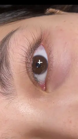 Mi tàng hình nhắm mắt cũng thấy xinh ,mi mỏng nhẹ như mi thật thế này#xuhuong #hocnoimichuyenghiep #masternoimibaothuong #eyelash #noimisaigon #noimithietke #mitanghinh 