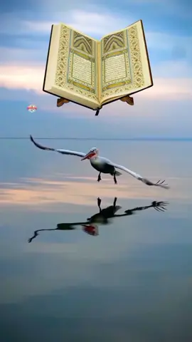 #CapCut #اريح_قلبك_بالقران_الكريم_اجر_لي_ولكم💙❤💙 #تلاوة_خاشعة_صوت_يدخل_قلب #سورة_النمل #القارى_وليد_ابراهيم_الفلوجي #الشيخ_نعمة_الحسان #القاري_الشيخ_عامرالكاظمي #القارى_نور_الدين_سليم_نوري #viral #viralvid #fyp #capcut #foryou #foryou 