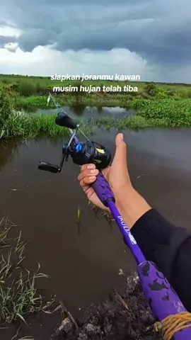 full casting wirr😋😋#fypシ #castingfishing🎣 #hobimancing #sahabatmancing #gabus #angler #castingtoman #slxshimano 