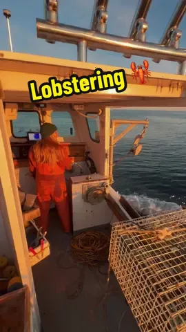 20°F and happy as a clam 🦞♥️ #lobsterfishing #lobstering #lobster #fisherwoman #fishinglife #fisherwoman #fisherman #lifeonthewater #sunset #sunsetvibes #sunsetfishing #captain #myboat 