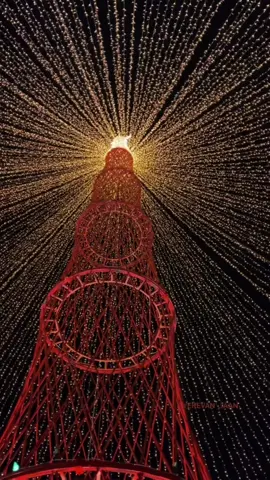 Christmas magic in Armenia🌟🪄🇦🇲 