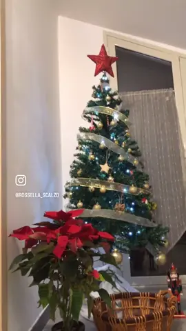 L’Albero a casa mia edizione 2023 🎄✨ #alberodinatale #natale2023 #nataleacasamia #mioalberodinatale #christamstree #mychristmastree #xmas #xmastree #xmastreedecoration 