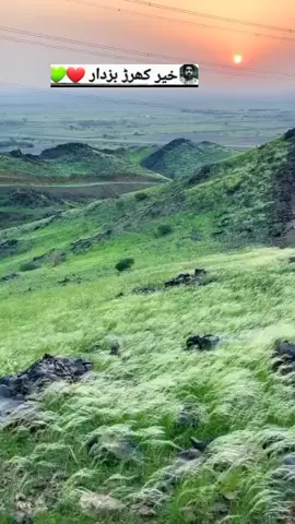 🌹🌹💐🪻🌹🌹