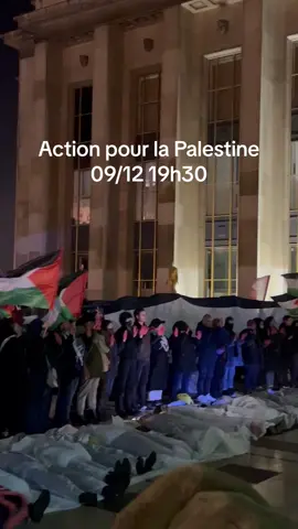 #trocadero#toureiffel#pourtoi#foryou#palestine#manifestant#rassemblement#manifestation#action#conflitpalestineisrael#paris