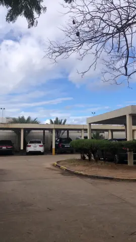 #fypシ #explore #fyppppppppppppppppppppppp #ليبيا🇱🇾 #foryoupage #ابوسليم #معهد_ابوسليم_للمهن_الطبية 