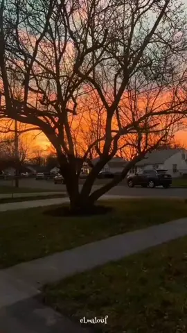 عباس ريغي _ لريام #malouf #malouf_constantine #سوق_أهراسي✅❤️🌹 #الجزائر🇩🇿 #تونس🇹🇳 #المغرب🇲🇦 #foryoupage #tiktoklongs #explore 