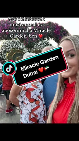 Ma délutánunk anyósommal és apósommal a Miracle Garden-ben 🇦🇪❤️ Ez a hely valami fantasztikus ,már voltam párszor ,de ezt nem lehet megunni ❤️ #miraclegardendubai #dbai #nekedbe #nekedbelegyen #neked #foryou #foryoupage #foryoupageofficiall #fypシ #fyp 