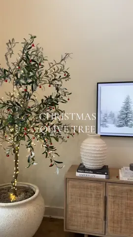 this turned out SO cute and im obsessed 🥹✨🎄❤️ #christmas #olivetree #christmastok #christmasaesthetic #aesthetic #Home #christmastree #christmasseason #holidays 